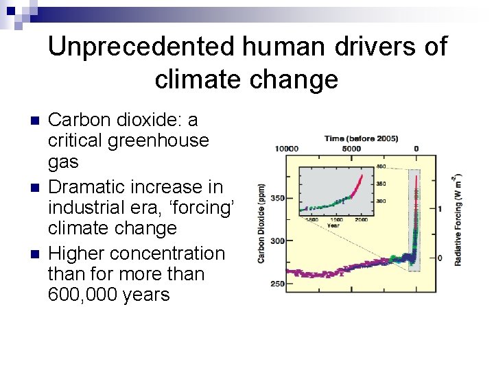 Unprecedented human drivers of climate change n n n Carbon dioxide: a critical greenhouse
