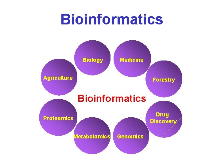 Bioinformatics Biology Medicine Agriculture Forestry Bioinformatics Drug Discovery Proteomics Metabolomics Genomics Bioinformatics Biology Medicine Agriculture Forestry Bioinformatics Drug Discovery Proteomics Metabolomics Genomics