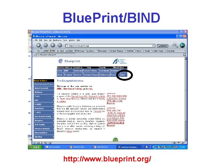 Blue. Print/BIND http: //www. blueprint. org/ Blue. Print/BIND http: //www. blueprint. org/