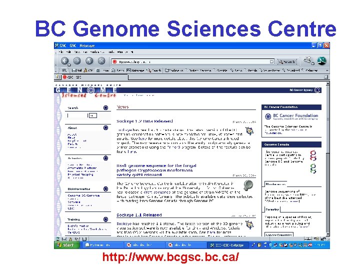 BC Genome Sciences Centre http: //www. bcgsc. bc. ca/ BC Genome Sciences Centre http: //www. bcgsc. bc. ca/