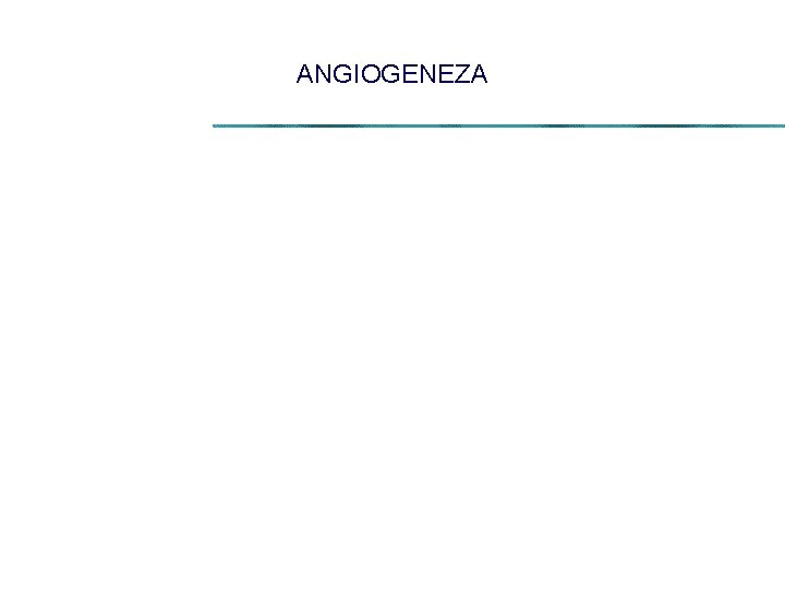 ANGIOGENEZA 