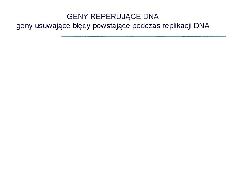 GENY REPERUJĄCE DNA geny usuwające błędy powstające podczas replikacji DNA 