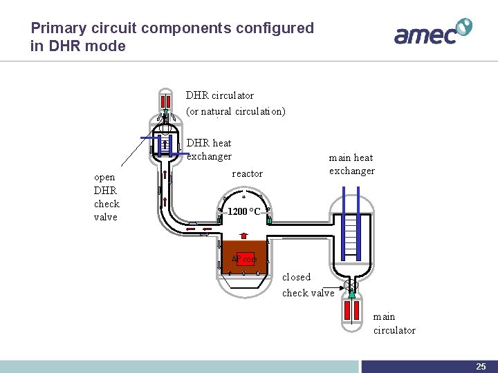 Primary circuit components configured in DHR mode DHR circulator (or natural circulation). DHR heat