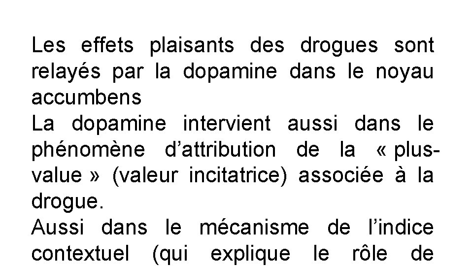 Les effets plaisants des drogues sont relayés par la dopamine dans le noyau accumbens