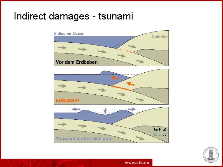 Indirect damages - tsunami 