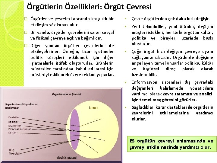 Örgütlerin Özellikleri: Örgüt Çevresi � Örgütler ve çevreleri arasında karşılıklı bir etkileşim söz konusudur.