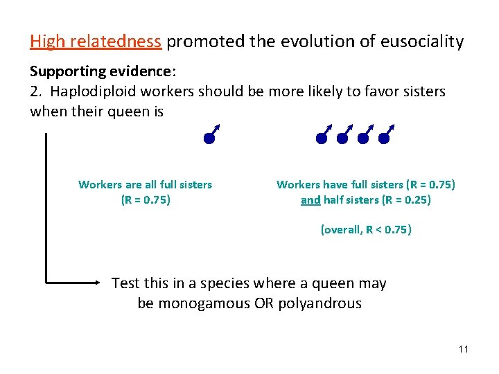 High relatedness promoted the evolution of eusociality Supporting evidence: 2. Haplodiploid workers should be