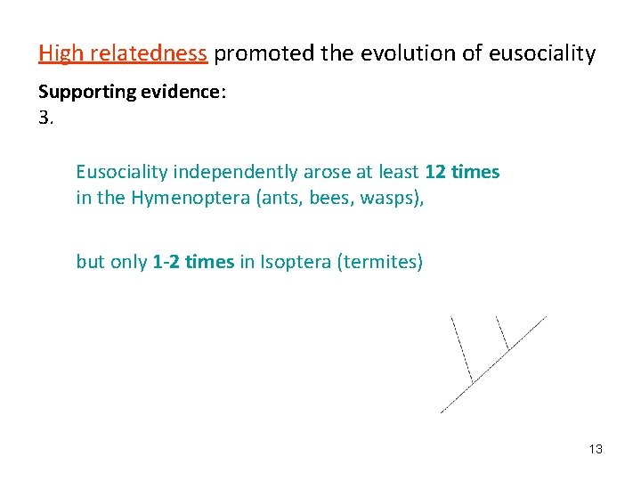 High relatedness promoted the evolution of eusociality Supporting evidence: 3. Eusociality independently arose at