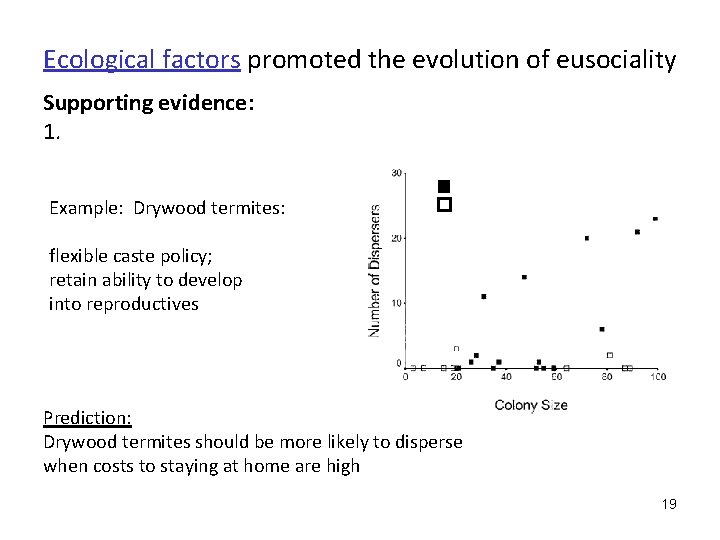 Ecological factors promoted the evolution of eusociality Supporting evidence: 1. Example: Drywood termites: flexible