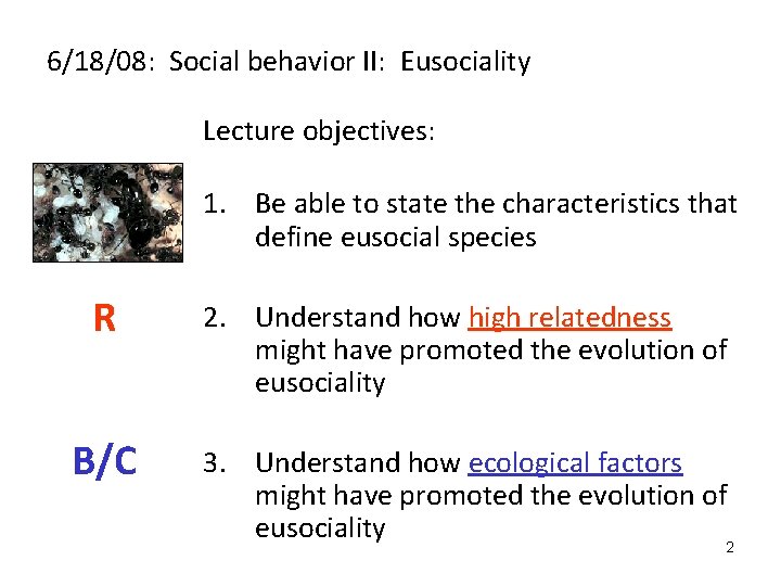 6/18/08: Social behavior II: Eusociality Lecture objectives: 1. Be able to state the characteristics