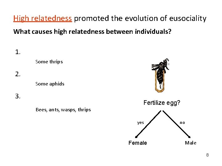 High relatedness promoted the evolution of eusociality What causes high relatedness between individuals? 1.