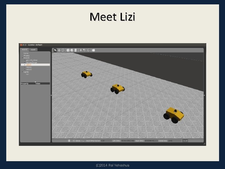 Meet Lizi (C)2014 Roi Yehoshua 