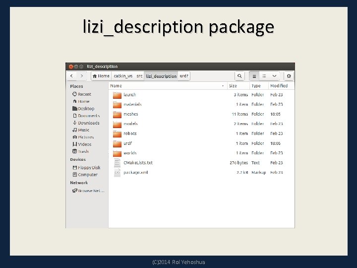 lizi_description package (C)2014 Roi Yehoshua 