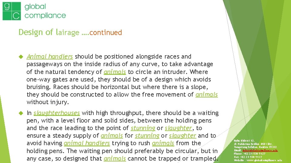 Design of lairage …. continued Animal handlers should be positioned alongside races and passageways