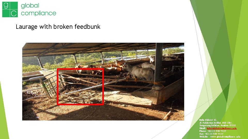 . Laurage with broken feedbunk Ruko Bidex I 12, Jl. Pahlawan Seribu, BSD City,