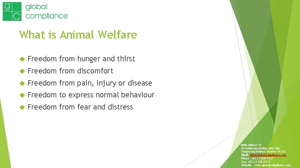 What is Animal Welfare Freedom from hunger and thirst Freedom from discomfort Freedom from