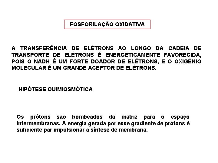 FOSFORILAÇÃO OXIDATIVA A TRANSFERÊNCIA DE ELÉTRONS AO LONGO DA CADEIA DE TRANSPORTE DE ELÉTRONS