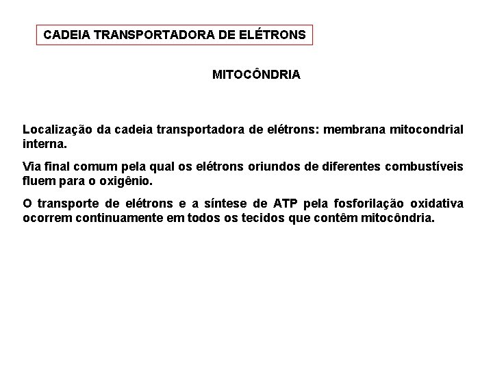 CADEIA TRANSPORTADORA DE ELÉTRONS MITOCÔNDRIA Localização da cadeia transportadora de elétrons: membrana mitocondrial interna.