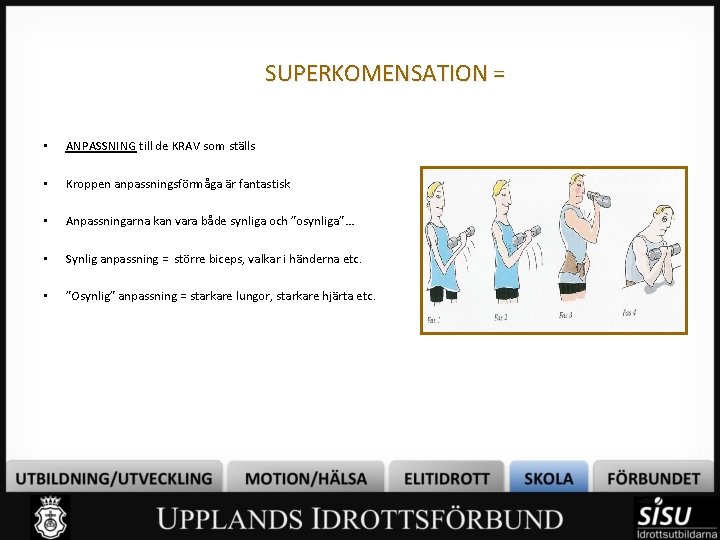 SUPERKOMENSATION = • ANPASSNING till de KRAV som ställs • Kroppen anpassningsförmåga är fantastisk