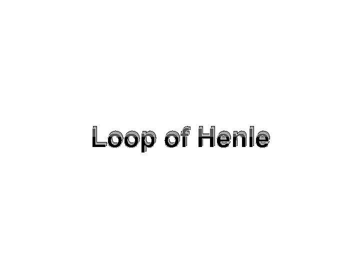 Loop of Henle 
