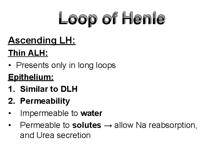 Loop of Henle Ascending LH: Thin ALH: • Presents only in long loops Epithelium: