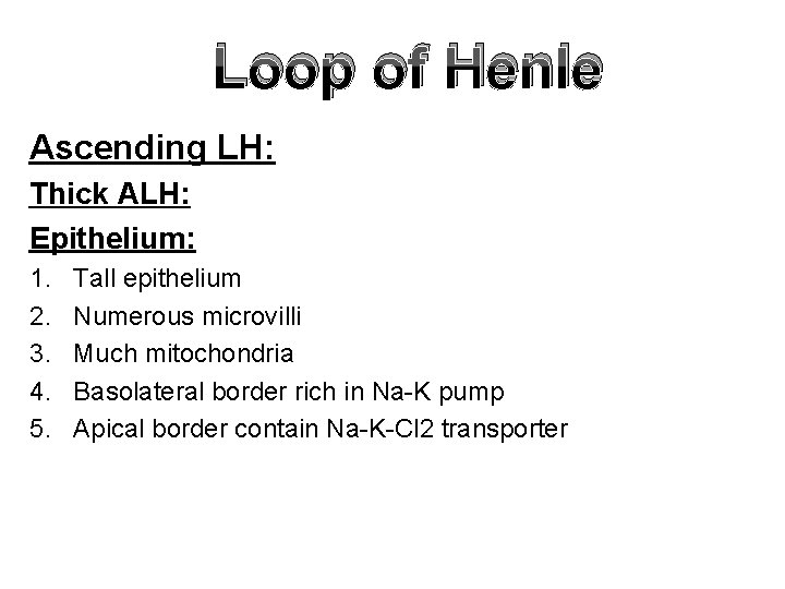 Loop of Henle Ascending LH: Thick ALH: Epithelium: 1. 2. 3. 4. 5. Tall