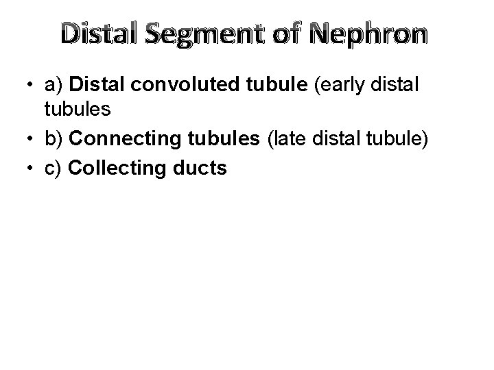 Distal Segment of Nephron • a) Distal convoluted tubule (early distal tubules • b)