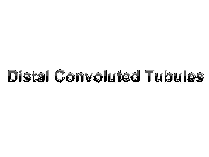 Distal Convoluted Tubules 