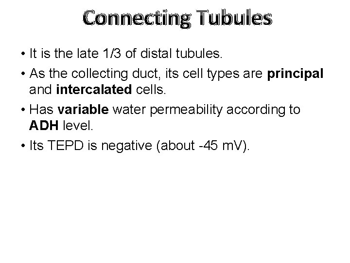 Connecting Tubules • It is the late 1/3 of distal tubules. • As the