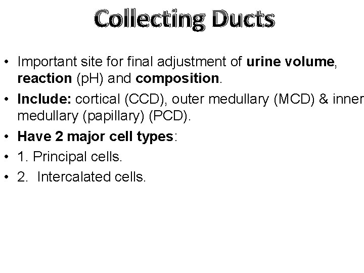 Collecting Ducts • Important site for final adjustment of urine volume, reaction (p. H)