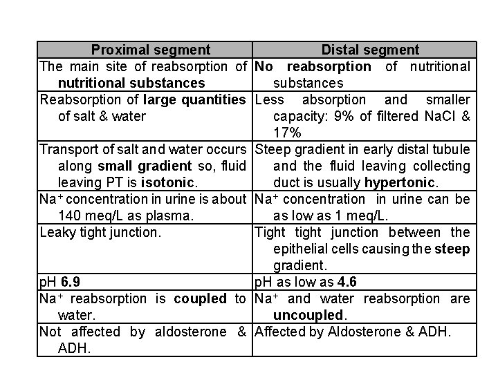 Proximal segment Distal segment The main site of reabsorption of No reabsorption of nutritional