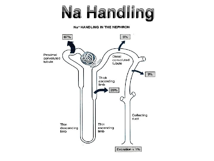 Na Handling 