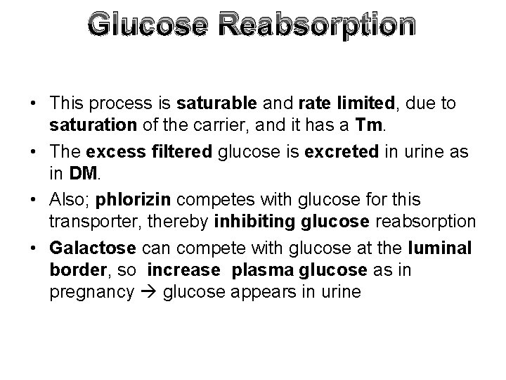 Glucose Reabsorption • This process is saturable and rate limited, due to saturation of
