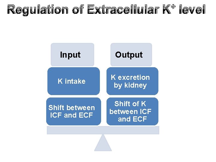 Regulation of Extracellular Input Output K intake K excretion by kidney Shift between ICF