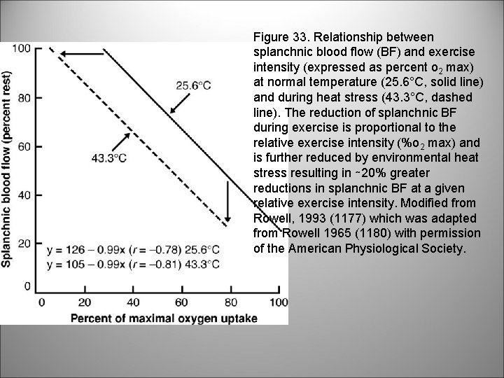 Figure 33. Relationship between splanchnic blood flow (BF) and exercise intensity (expressed as percent