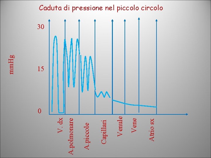 Atrio sx Vene Venule Capillari A. piccole A. polmonare V. dx mm. Hg Caduta