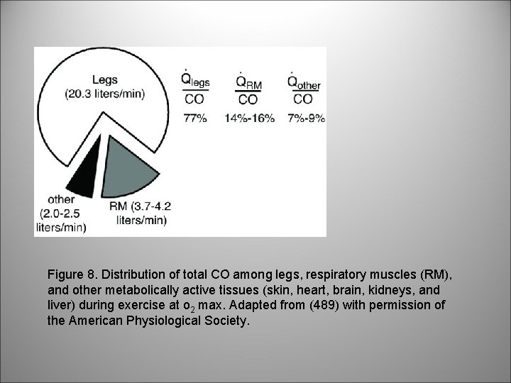Figure 8. Distribution of total CO among legs, respiratory muscles (RM), and other metabolically