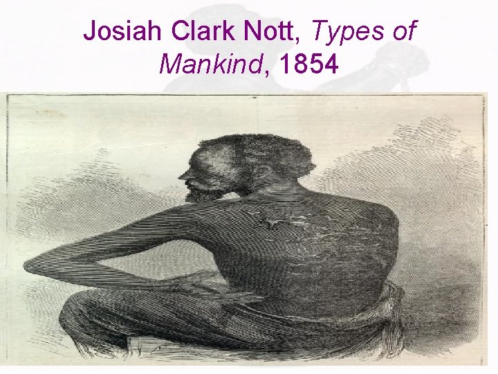 Josiah Clark Nott, Types of Mankind, 1854 