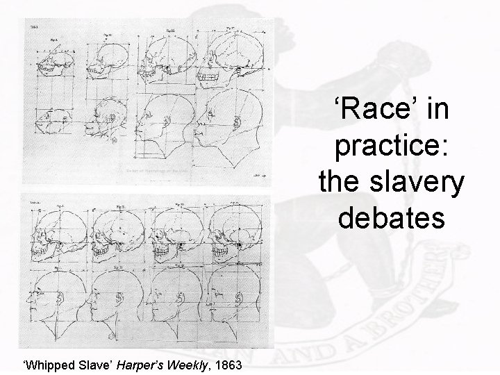 ‘Race’ in practice: the slavery debates ‘Whipped Slave’ Harper’s Weekly, 1863 
