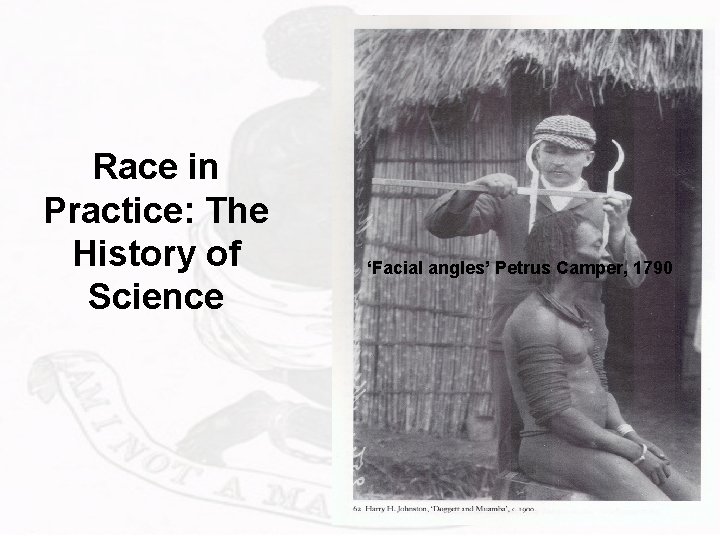 Race in Practice: The History of Science ‘Facial angles’ Petrus Camper, 1790 