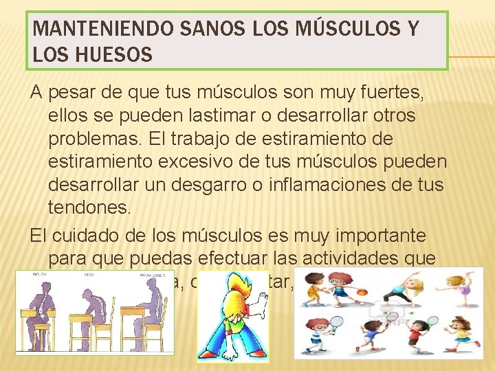 MANTENIENDO SANOS LOS MÚSCULOS Y LOS HUESOS A pesar de que tus músculos son
