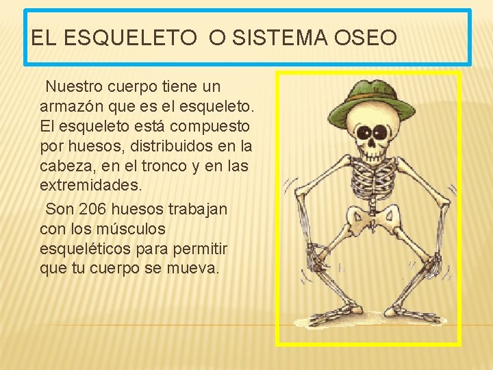 EL ESQUELETO O SISTEMA OSEO Nuestro cuerpo tiene un armazón que es el esqueleto.