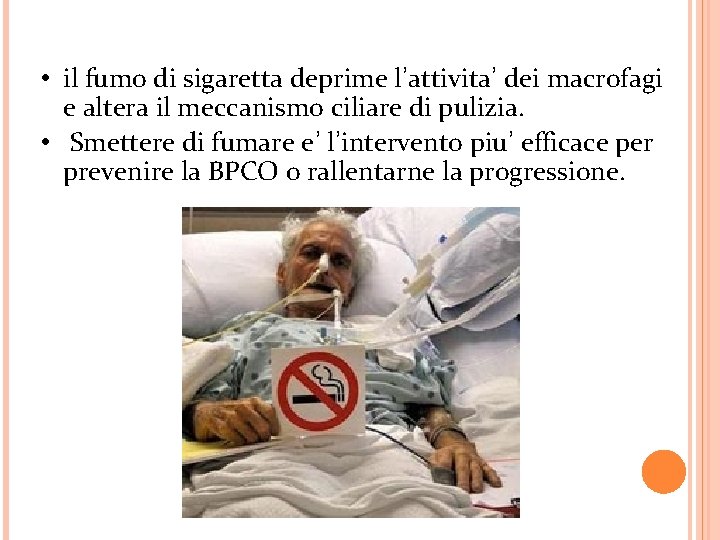 • il fumo di sigaretta deprime l’attivita’ dei macrofagi e altera il meccanismo