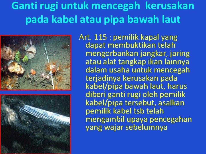 Ganti rugi untuk mencegah kerusakan pada kabel atau pipa bawah laut Art. 115 :