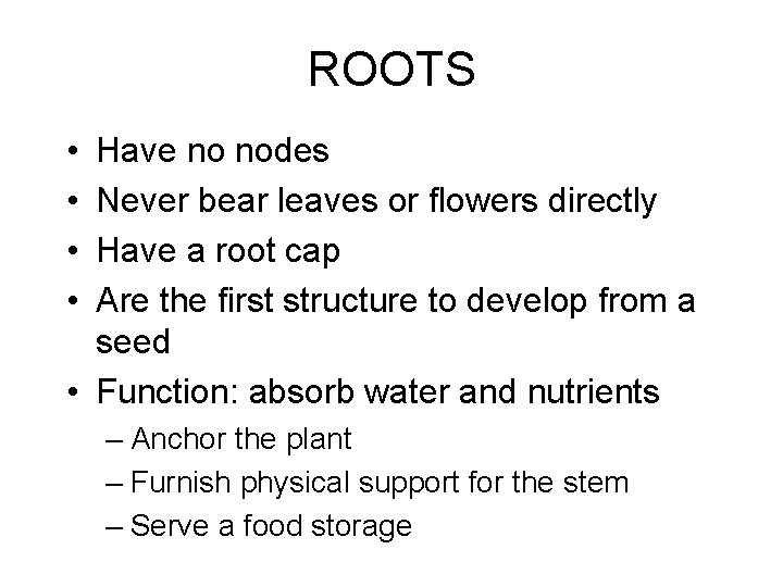 ROOTS • • Have no nodes Never bear leaves or flowers directly Have a