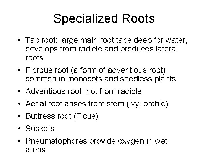 Specialized Roots • Tap root: large main root taps deep for water, develops from