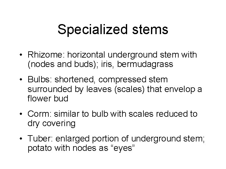 Specialized stems • Rhizome: horizontal underground stem with (nodes and buds); iris, bermudagrass •