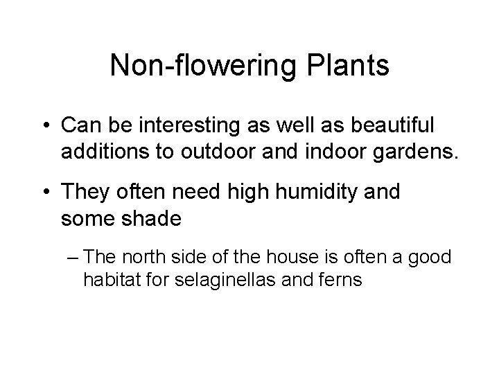 Non-flowering Plants • Can be interesting as well as beautiful additions to outdoor and