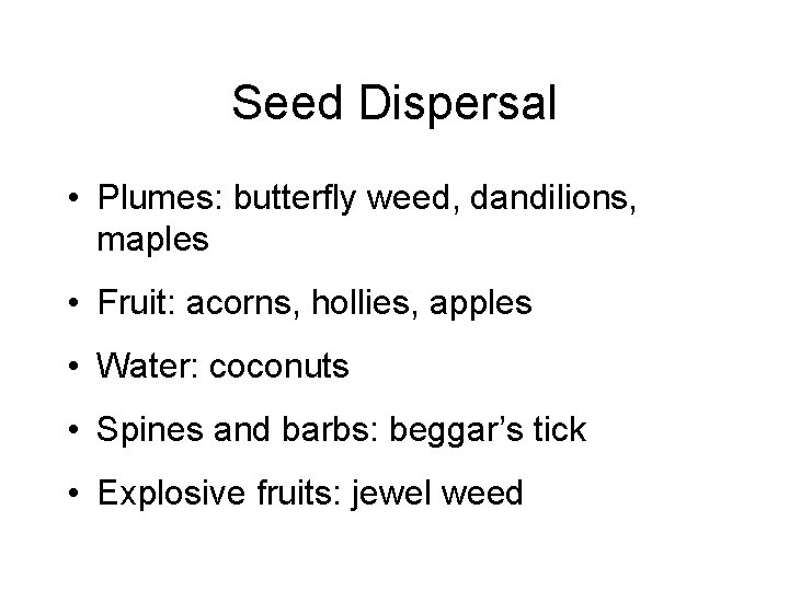 Seed Dispersal • Plumes: butterfly weed, dandilions, maples • Fruit: acorns, hollies, apples •