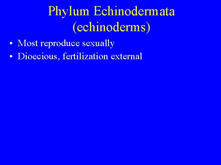 Phylum Echinodermata (echinoderms) • Most reproduce sexually • Dioecious, fertilization external Phylum Echinodermata (echinoderms) • Most reproduce sexually • Dioecious, fertilization external